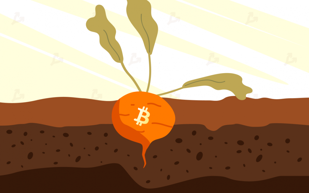 Bitcoin e il primo restyling in quattro anni