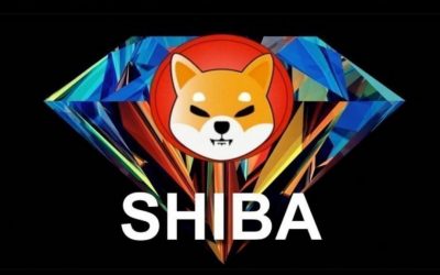 Tutti pazzi per Shiba Inu