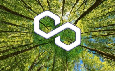 Polygon | Un Green Manifesto per diventare carbon-negative