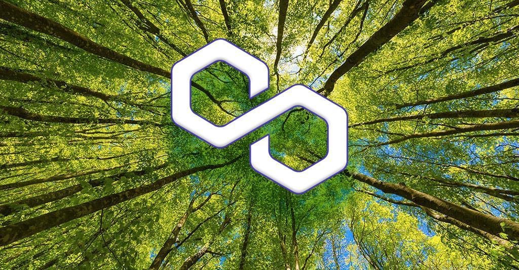 Polygon | Un Green Manifesto per diventare carbon-negative